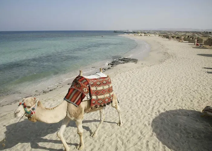 Shams Alam 4* Marsa Alam