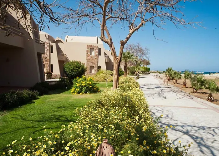 Shams Alam 4*