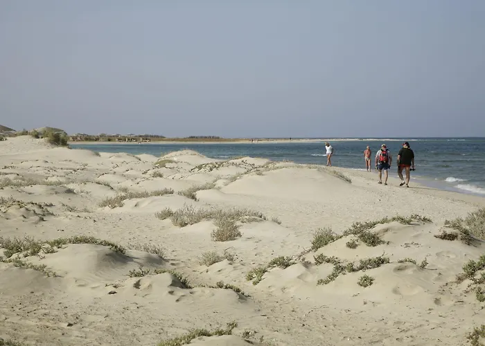 Shams Alam Resort